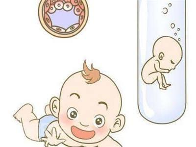 私人代怀公司